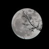 Лунный календарь на 3 ноября: что категорически нельзя делать