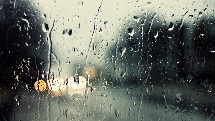 Дождь  / Фото: соцсети