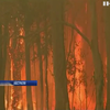 В австралійському штаті запровадили надзвичайний стан через масштабні пожежі