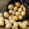 Чем полезен картофель 