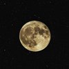 Лунный гороскоп на 14 ноября для всех знаков зодиака
