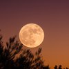 Лунный календарь на 15 ноября: что категорически нельзя делать 