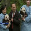 У бельгійському зоопарку дали імені новонародженим пандам