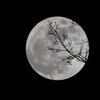 Лунный календарь на 18 ноября: что категорически нельзя делать