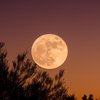 Лунный календарь на 19 ноября: что категорически нельзя делать 
