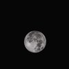 Лунный гороскоп на 21 ноября для всех знаков зодиака