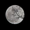 Лунный календарь на 21 ноября: что категорически нельзя делать 
