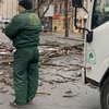 Ураган в Одессе повалил десятки деревьев 