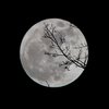 Лунный календарь на 24 ноября: что категорически нельзя делать 