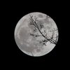 Лунный гороскоп на 29 ноября для всех знаков зодиака