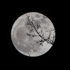 Лунный календарь на 4 ноября: что категорически нельзя делать
