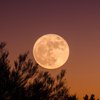 Лунный гороскоп на 5 ноября для всех знаков зодиака