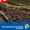 Принятие Закона о продаже земли станет преступлением перед народом Украины - "Оппозиционная платформа - За жизнь"
