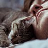Почему нельзя спать с животными: приметы и суеверия 