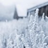 Погода на 2 декабря: в Украину идут сильные морозы