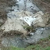 Дніпро у Черкасах заливають нечистотами