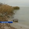 В Одесі закликали врятувати озеро Сасик