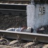 В Киеве поезд насмерть сбил женщину 