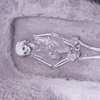 В Китае обнаружили уникальный скелет 