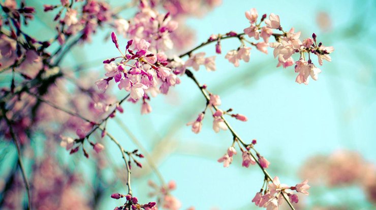 Приветы / Фото: "Весна"