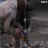Українські військові зробили ялинку з ворожих снарядів
