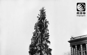 Главная елка страны. 1981 год