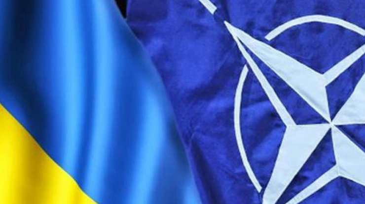 Украина и НАТО / Фото: "Цензор"