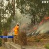 Рятувальники Австралії підпалами борються з лісовими пожежами