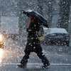 Погода в Украине: страну засыплет мокрым снегом