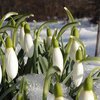 Погода на 17 февраля: в Украину прийдет весна 