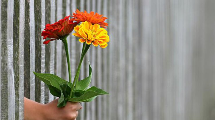фото: pixabay.com