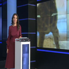 У зоопарку Праги показали новонароджене жирафеня