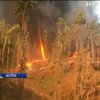 Рятувальники Австралії зафільмували вогняне торнадо