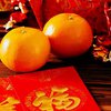 Китайский Новый год 2019: приметы и традиции праздника 