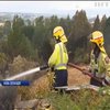 У Нової Зеландії лютує масштабна лісова пожежа