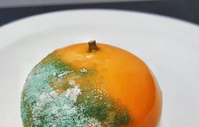 Фото: Апельсиновое парфе и меренга (instagram.com/chefbenchurchill)