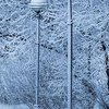 Украину снова накроет снегопадами: прогноз синоптиков 