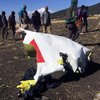 Авиакатастрофа в Эфиопии: США направят группу экспертов на место трагедии