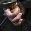 Под Киевом мужчина хотел подорвать мать гранатой