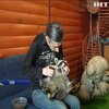 Лікар-ветеринар облаштував вдома оселю для єнотів
