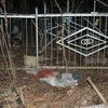 В Харькове мать выкинула младенца на кладбище