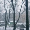 Донецк неожиданно замело снегом (фото)