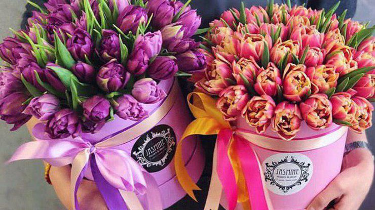 Красивые тюльпаны / Фото: из Instagram