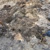 В Киеве нашли человеческие кости (видео)