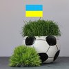 Евро-2020: огласили состав сборной Украины