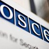 Выборы-2019: в ОБСЕ выступили с заявлением 