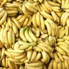 В Нидерландах нашли кокаин в бананах