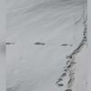 Індуси знайшли сліди снігової людини