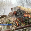 Рятувальники закликали українців припинити палити траву