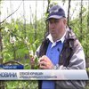 Негода на Львівщині: фермери підраховують збитки від стихії